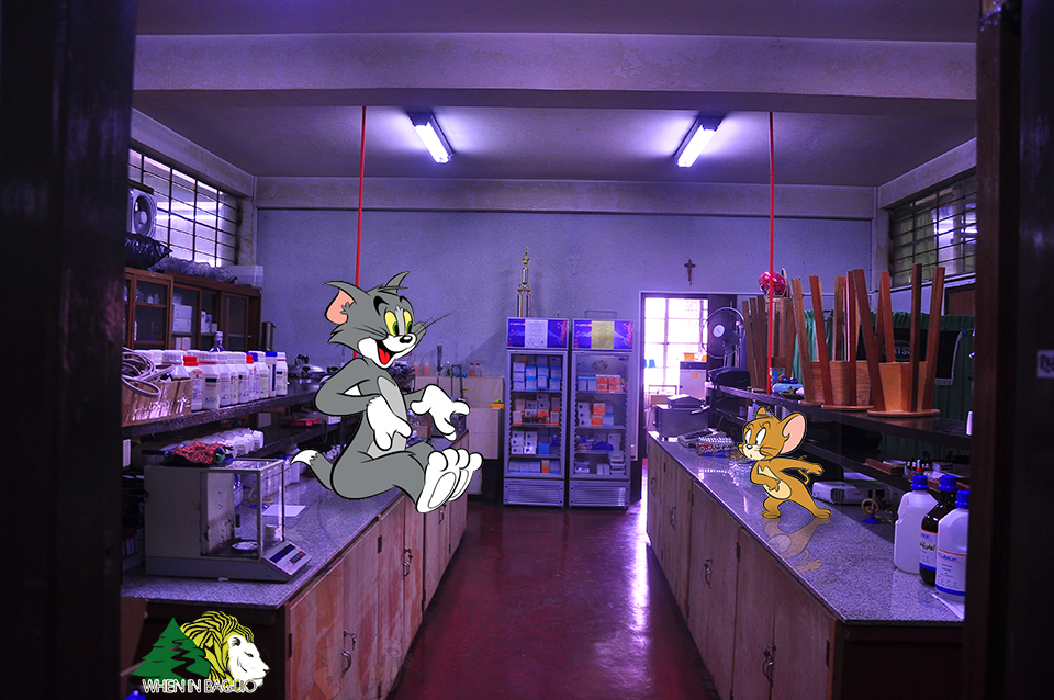 Anime and Cartoon Characters invade SLU