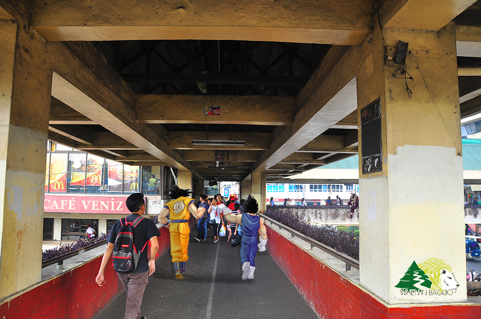 Goku and Vedgeta passing by the Pedestrain Overpass at Harrison Road