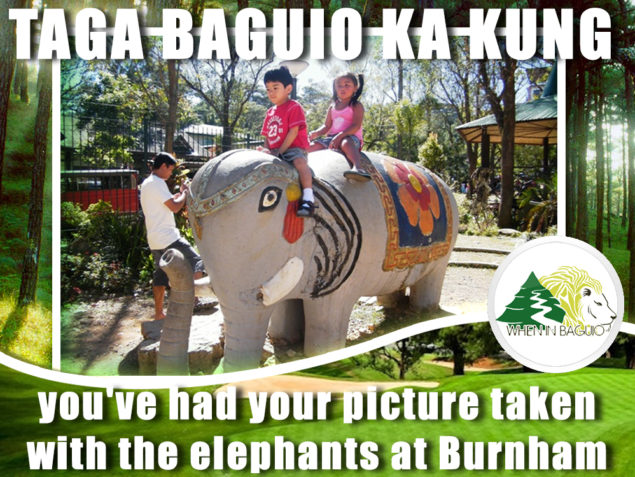 Baguio Elephant